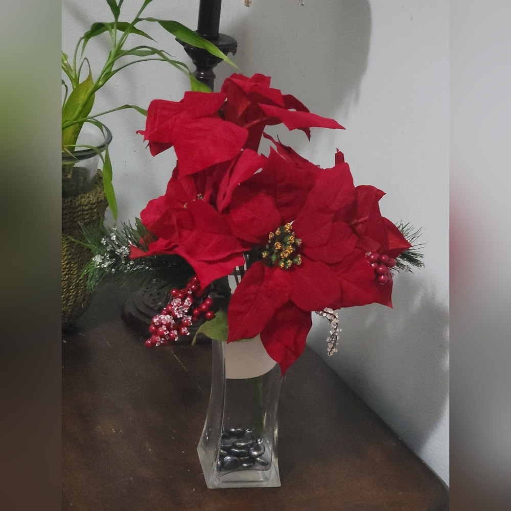 Merry Magnolia Bush